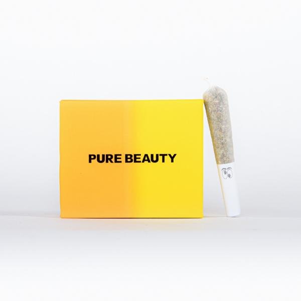 Pure Beauty | Infused Solventless | 5pk | Sativa