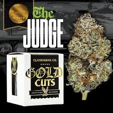 The Judge