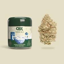 Cereal Milk