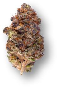 Cherry Trop