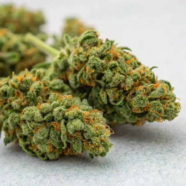 Sour Diesel Sativa
